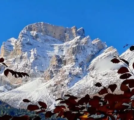 Vale E Schena Cortina 4 Posti Letto Сан-Вито-ди-Кадоре
